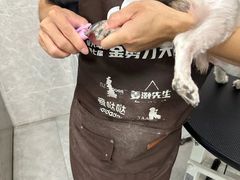 -瑞鹏宠物医院·骨外科·心肾科·肿瘤科(九亭店)