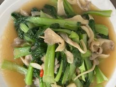 -照金特色农家乐