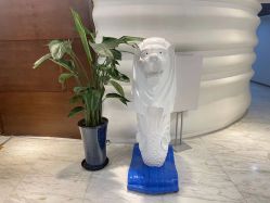 -洁铭新加坡医美