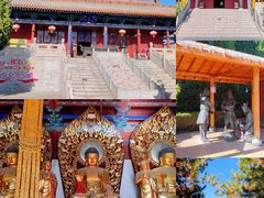 -大槐树寻根祭祖园