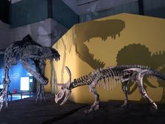 -湖南省地质博物馆