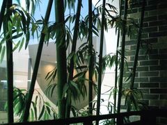室内-渔米粥(罗湖店)