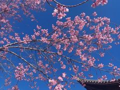 -和顺古镇