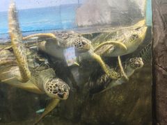 -福州罗源湾海洋世界旅游区