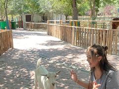 -水上乐园·欢乐世界