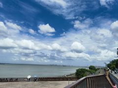 -上海滨江森林公园