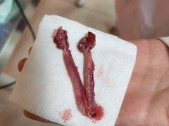 -瑞派福兴宠物医院犬猫全科·骨科·中西医结合(河东店)