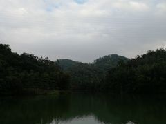 -中山市树木园