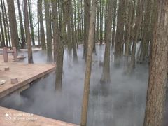 -东湖落雁景区