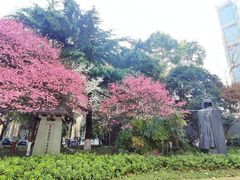 -岳王庙