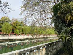 -成都市活水公园