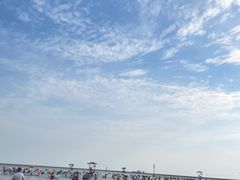-碧海金沙