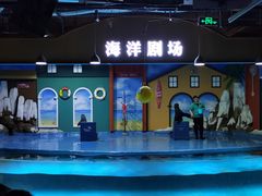 -重庆欢乐海底世界