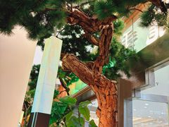 -桂满陇·手作小笼包&江南叫花鸡(中山公园店)