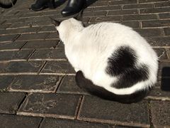 -上海基督教景灵堂