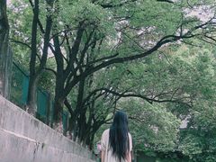 -湖北中医药大学(昙华林校区)