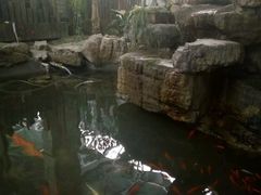 -森谷美食公园(杨行店)