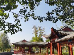 -张家湾公园