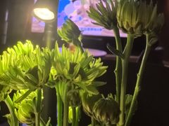 -洛阳市隋唐城遗址植物园