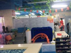 -子木乐园婴儿游泳馆(水晶港店)