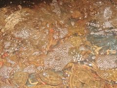 -小厨师·二十年沈家门小海鲜(百井坊巷店)