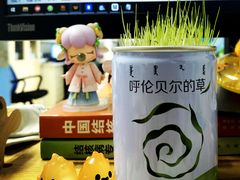 -很久以前羊肉串(朝阳路店)