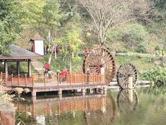 -重庆彩云湖湿地公园