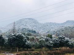 -小格里自然风景区