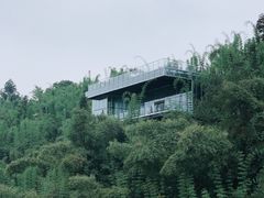 -川西竹海景区
