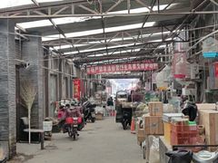 -中环花鸟鱼虫市场