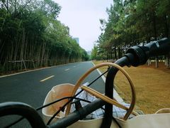 -艾溪湖湿地公园