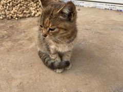 -丰茂烤串(金源店)