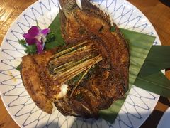 -紫滇源云南生态菜(丹凤街店)