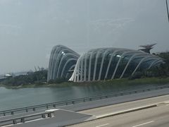 -新加坡文华东方酒店