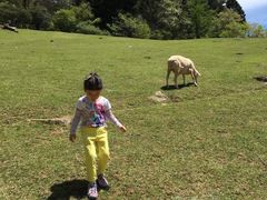 -神户市立六甲山牧场