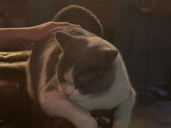 -后院儿·精酿·塔罗Happy Bar