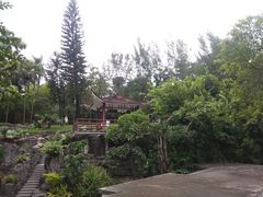 -晓港公园