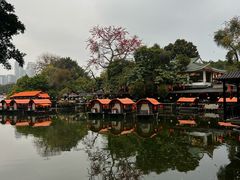 -侨美·唐荔园·40年地道粤菜