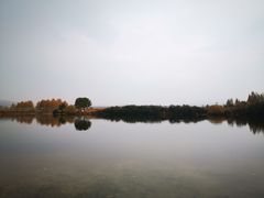 -塞罕坝国家级自然保护区