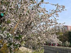 -元大都城垣遗址公园