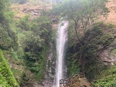 -莫里热带雨林景区