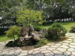 -西湖外事游船(花港观鱼码头)