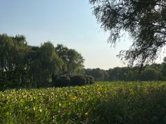 -东郊湿地公园
