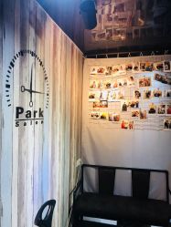 -Park Salon脏辫羽毛接发