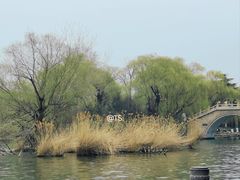 -济南大明湖景区