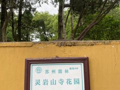 -灵岩山风景区
