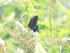 -苏州河梦清园环保主题公园