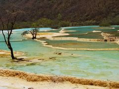 -黄龙山原始森林景区