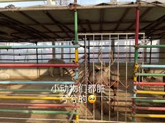 -南宫五洲植物乐园