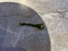 -友阿国际广场(邵阳店)